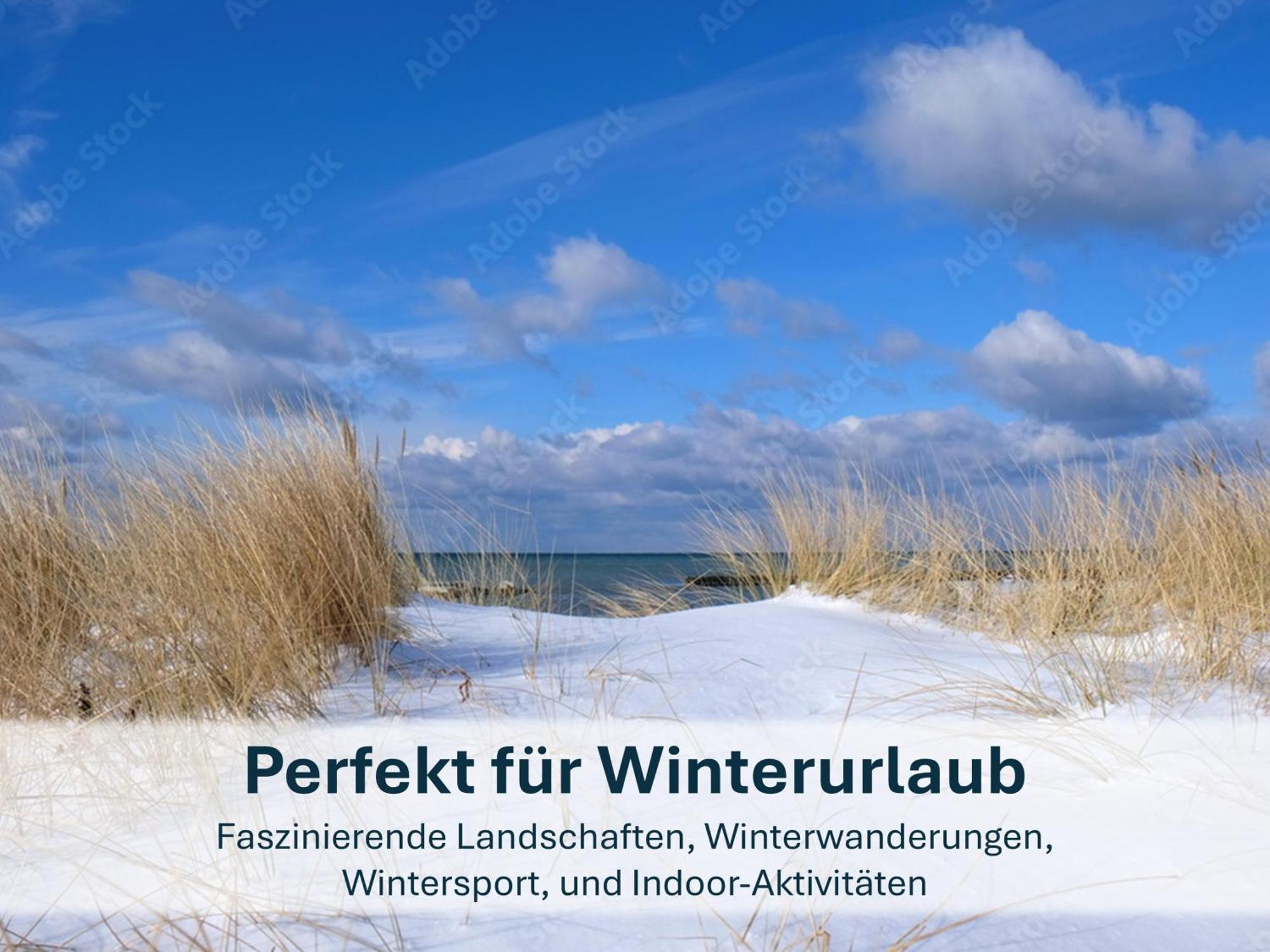 Zinnowitz, Paradies Am Wald - Wg 05 외부 사진
