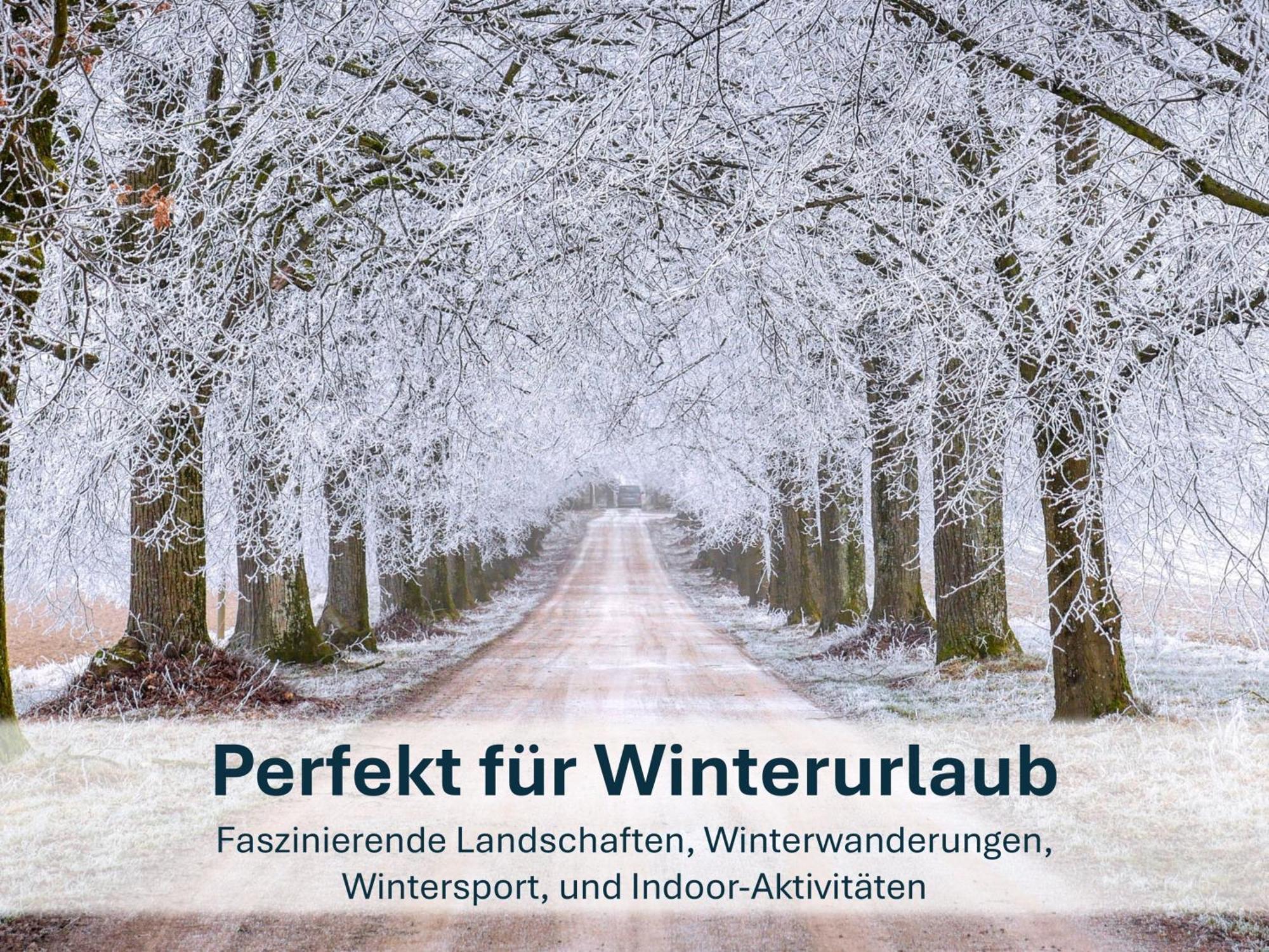 Zinnowitz, Paradies Am Wald - Wg 05 외부 사진